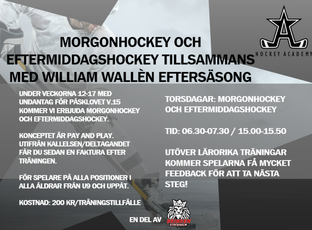 Morgon/Eftermiddagshockey Eftersäsong  